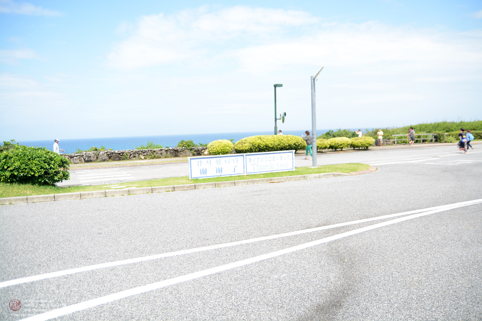 DSC_2908.jpg